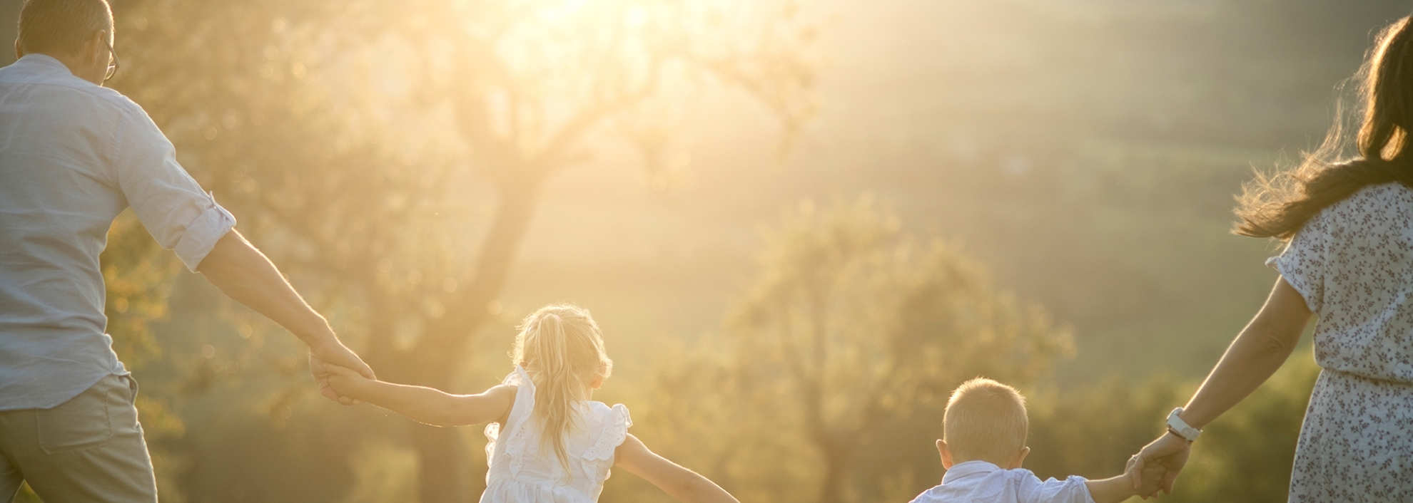 Rear view of family with two small children walking on meadow outdoors at sunset
